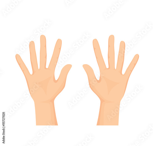 Vector of Open hands isolated on white background