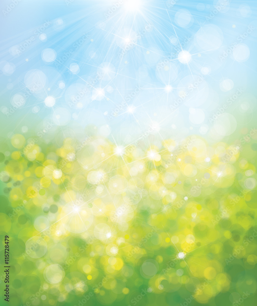 Fototapeta premium Vector blurred nature background.