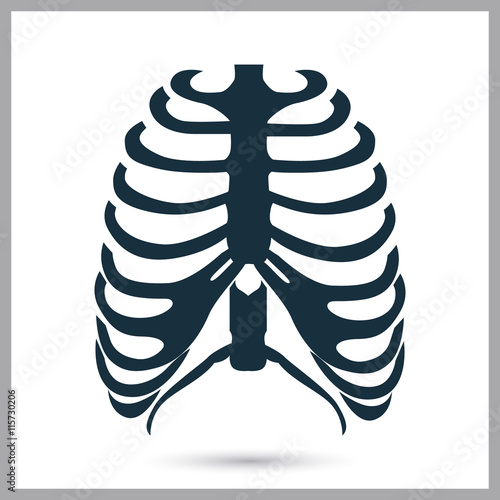 Human ribs icon on the background