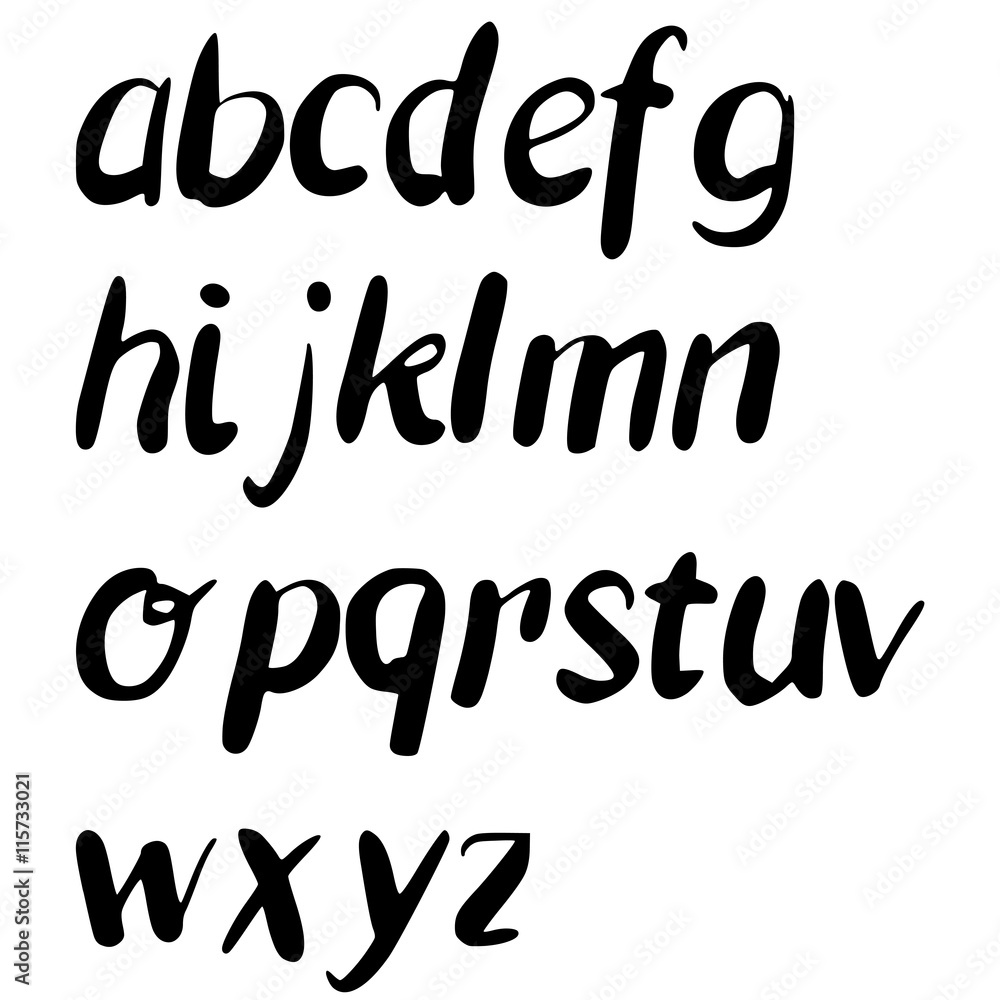 Vector hand drawn alphabet. Brush painted letters.
Handwritten script .
