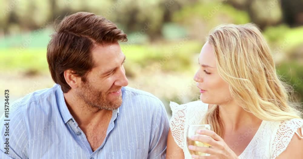 Happy couple talking and drinking white wine Happy couple talking and drinking white wine