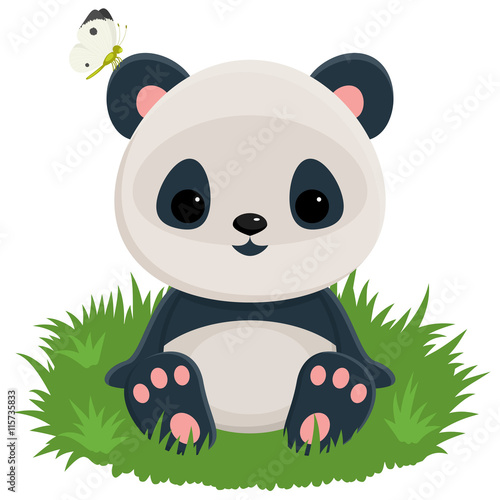 Fototapeta Naklejka Na Ścianę i Meble -  Baby panda