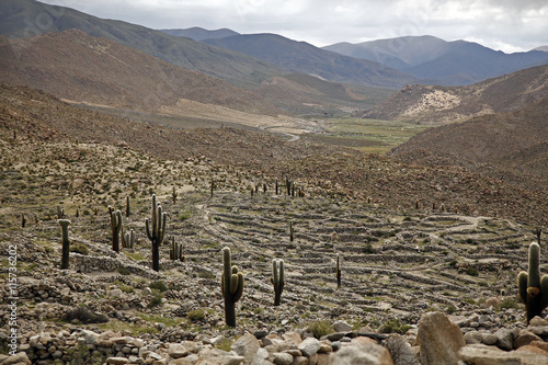 Ruinas precolombinas (Ruinas de Tastil) en la Puna, Salta, Argentina photo