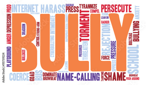 Bully word cloud on a white background.