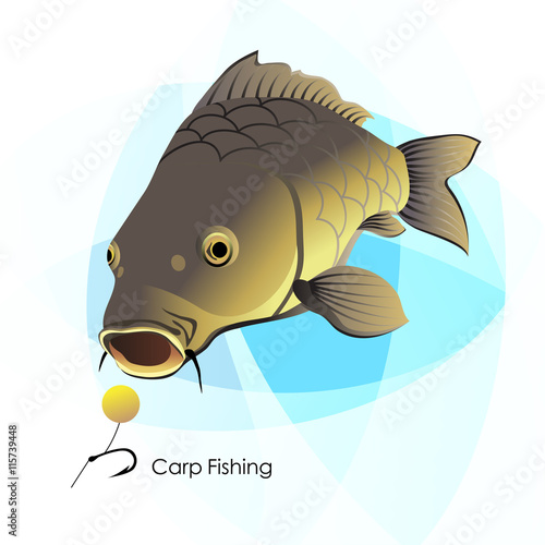 Carp Fishing