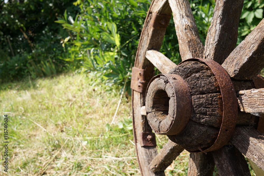 wooden wheel on a background of green grass wooden wheel on a background of green grass