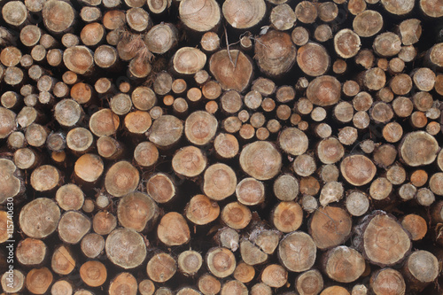 Logs of Wood
