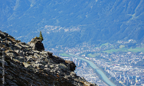 Obraz na płótnie Felsen mit Tannenbaum hoch über Innsbruck w salonie