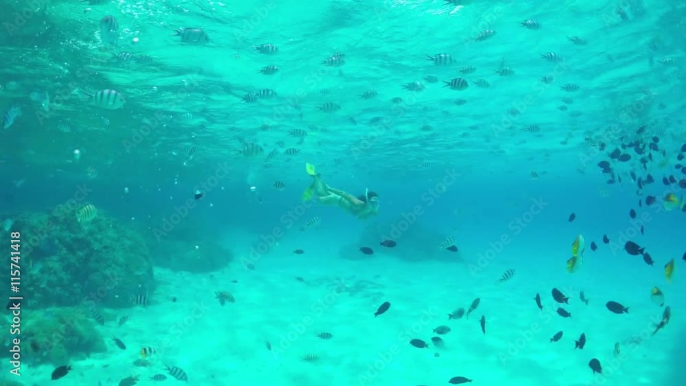 SLOW MOTION UNDERWATER: Woman snorkeling exotic reef with tropical fish SLOW MOTION UNDERWATER: Woman snorkeling exotic reef with tropical fish