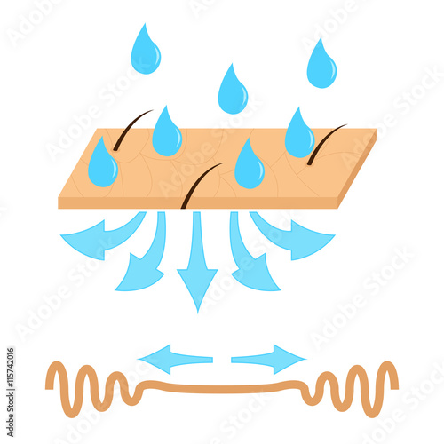 Skin hydration and wrinkle.