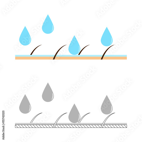 Skin hydration sectional view.