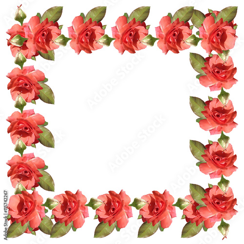 Delicate floral pattern of isolated coral roses 