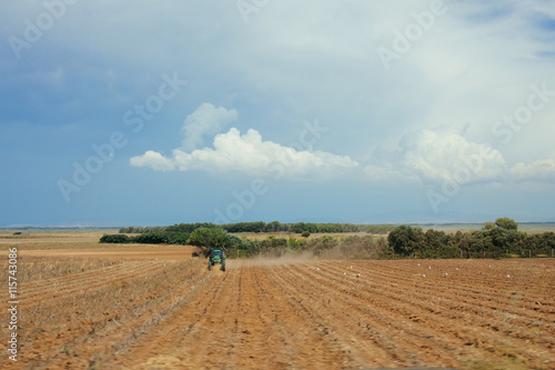 Tractor cutting crops in field (ID: 115743086)