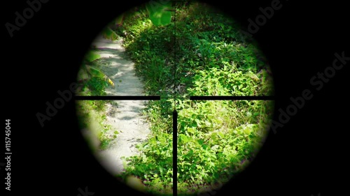 View of a tropical nature trail through the crosshairs of a targeting scope on a sunny afternoon. UltraHD video photo