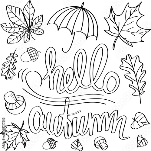 Hello autumn. Lettering with vector illustrations