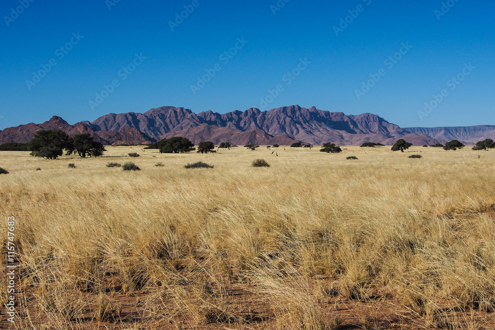 Namibia - Sossusvlei Namibia - Sossusvlei