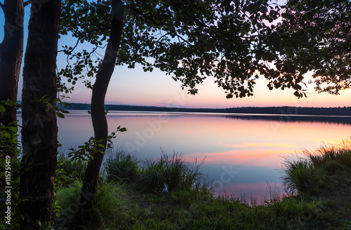 Sunset on forest lake grass on the shore © dmitry3299