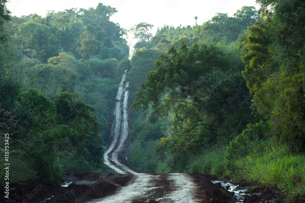Fototapeta premium Camino de tierra en la selva, horizontal