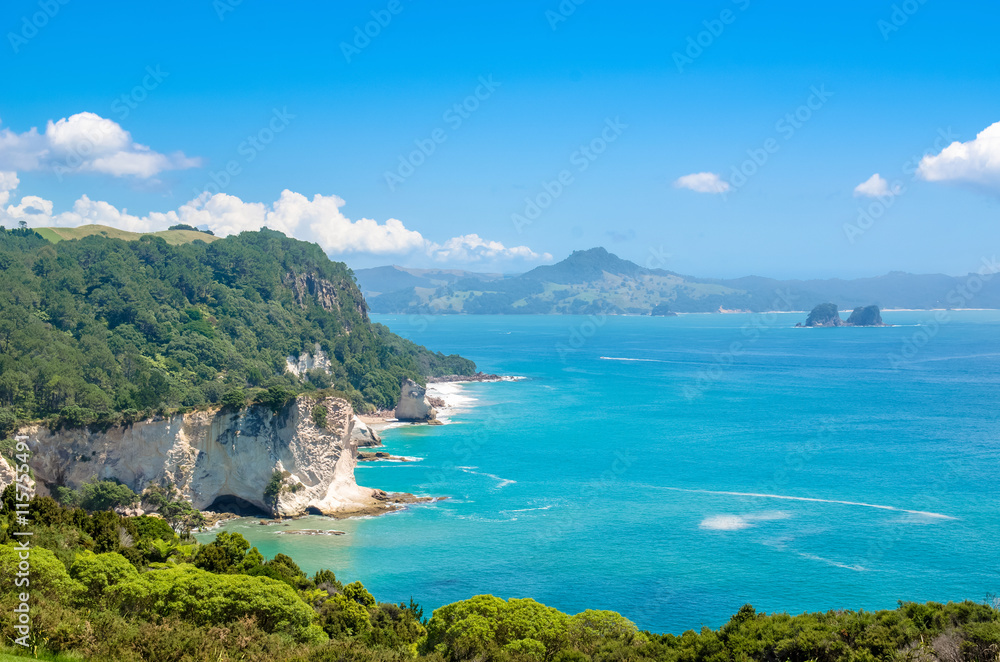 Fototapeta premium Cathedral Cove in Coromandel Peninsula on the North Island of New Zealand