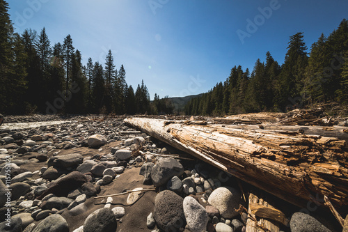 Vászonkép View of dry riverbed in spring near the Rainier mountain.