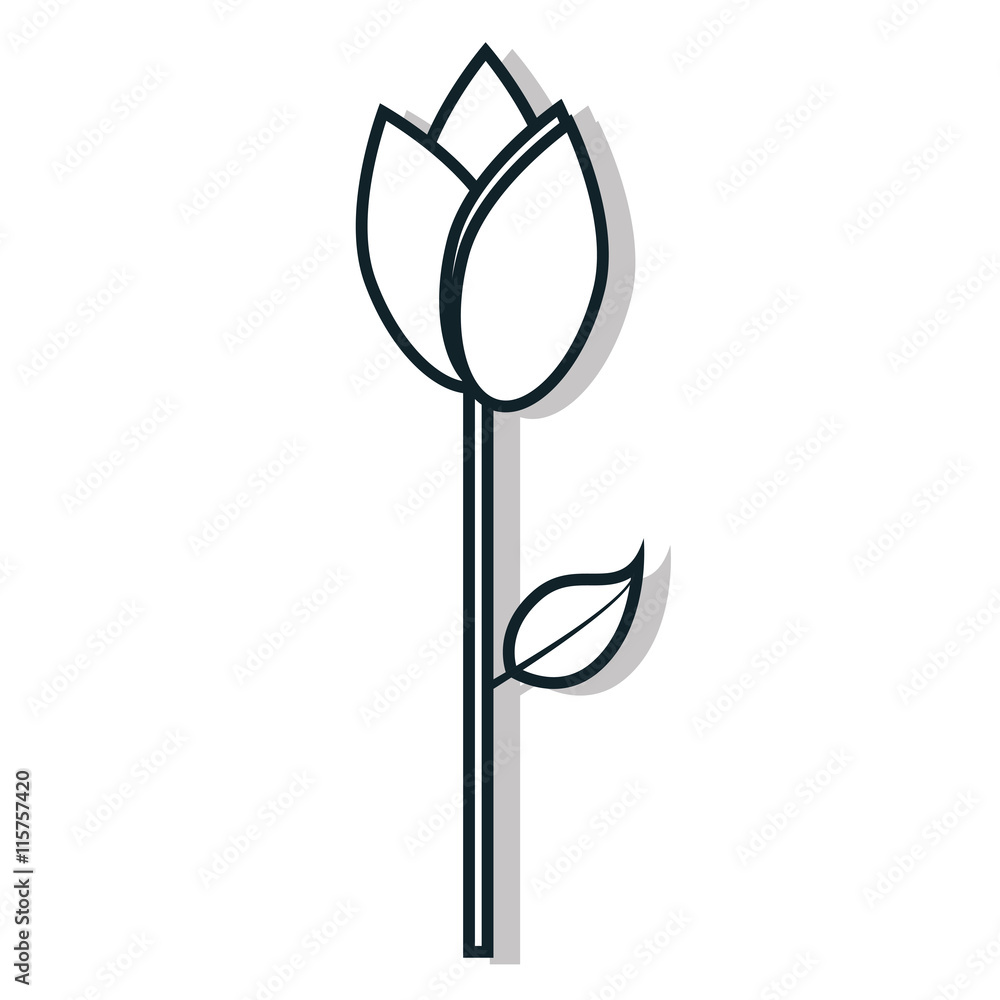 Flowers and gardening theme design, vector illustration icon graphic. Flowers and gardening theme design, vector illustration icon graphic.