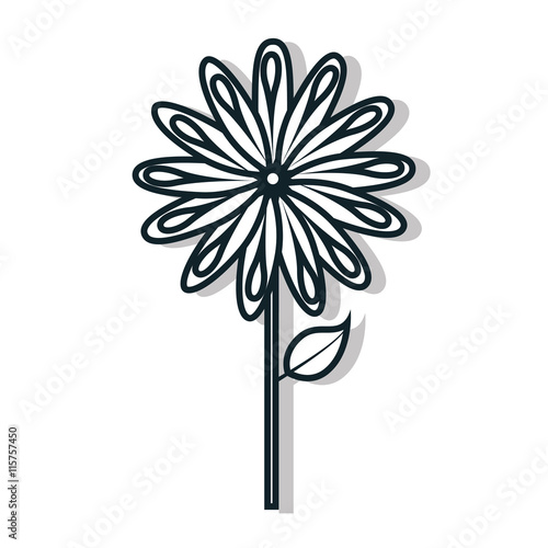 Flowers and gardening theme design, vector illustration icon graphic.