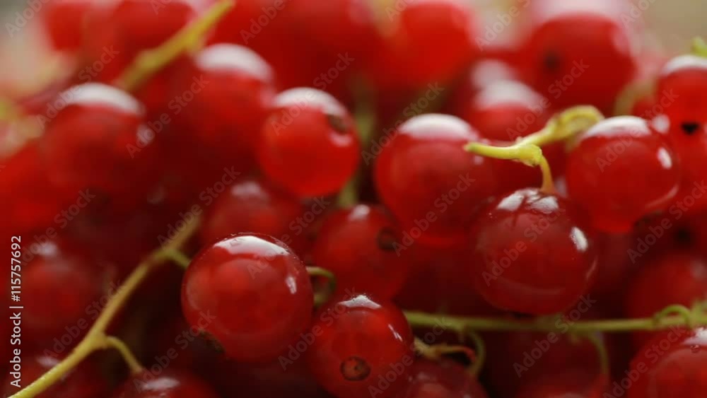 Red currant berry rotation Red currant berry rotation