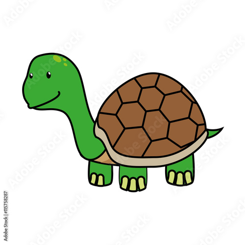 Tortoise cute pet graphic design, vector illustration isolated icon.