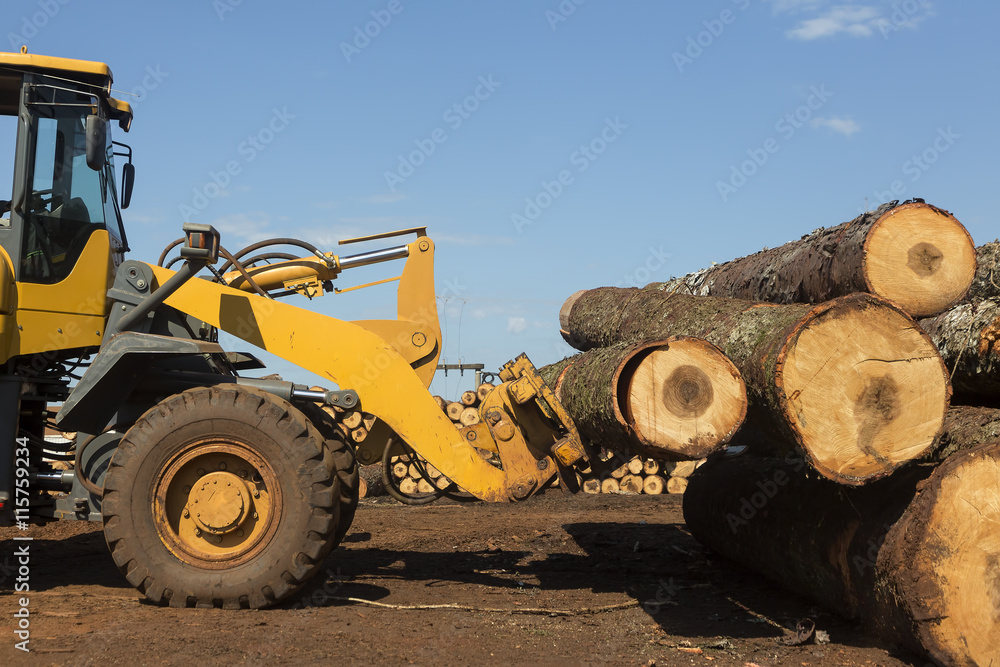 Tractor cargando troncos de pinos en una planta de producción forestal