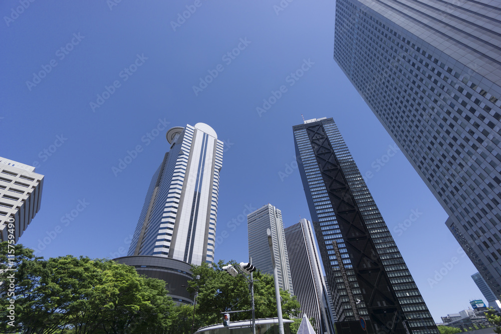 春　新緑　青空　新宿高層ビル街　見上げる　超広角　コピースペース