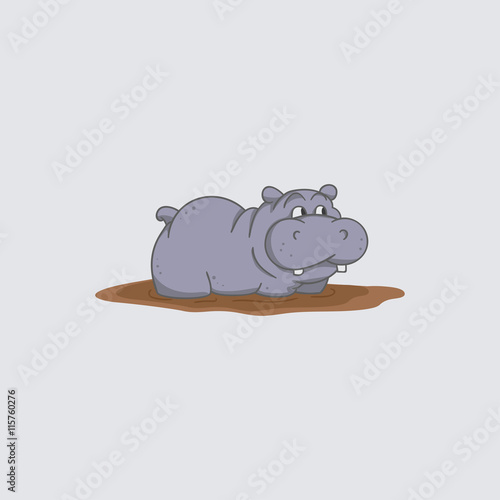 Illustration hippopotamus