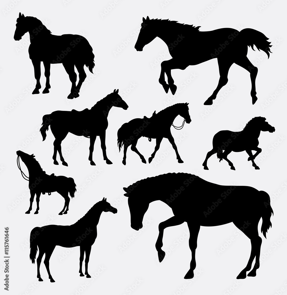 Fototapeta Horse animal gesture silhouette. Good use for symbol, logo, web icon, mascot, sticker design, sign, game element, or any design you want. Easy to use.