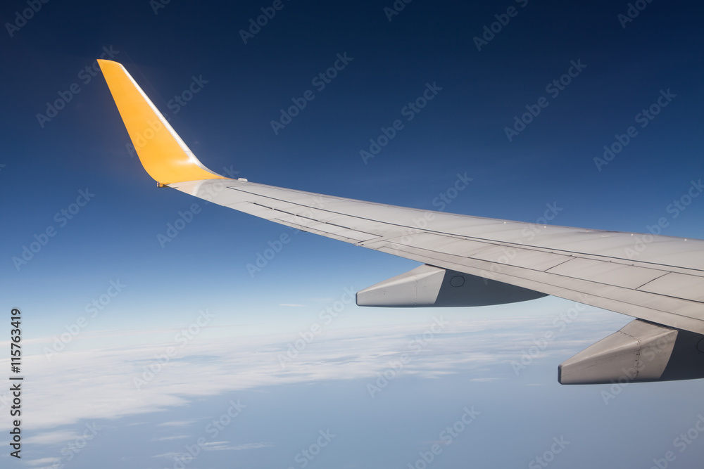 Obraz premium aircraft Wing