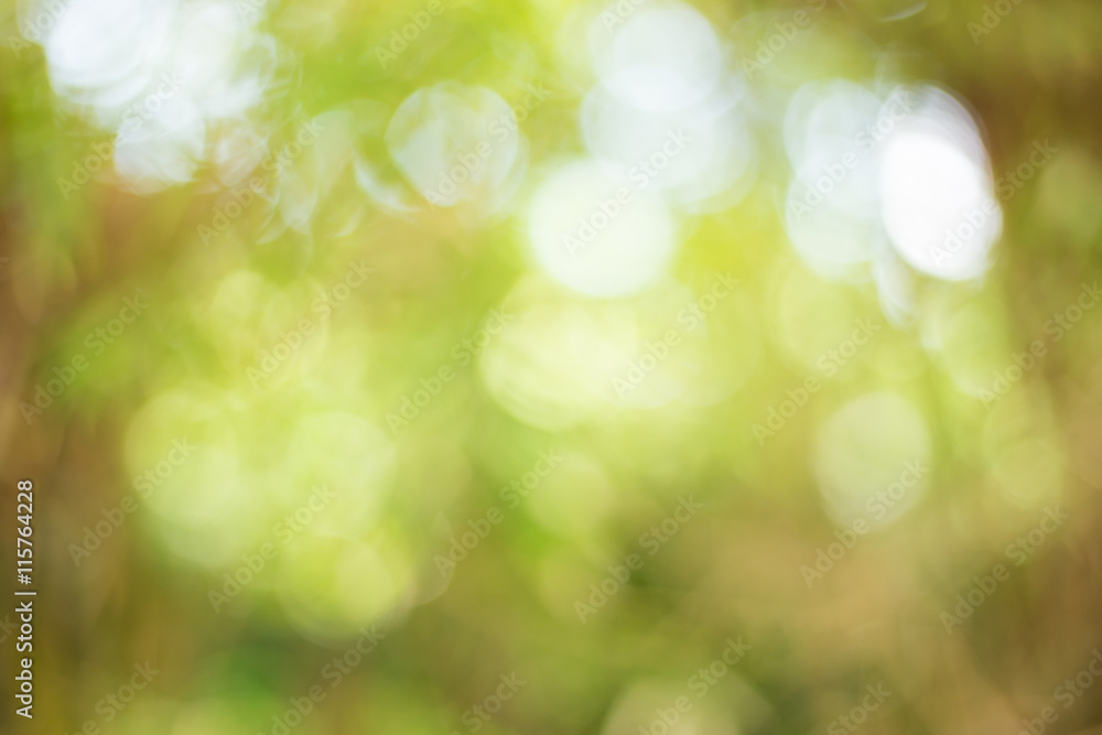 Obraz premium Abstract Green Bokeh Natural Background