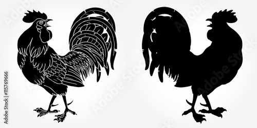 Fervent rooster black silhouette