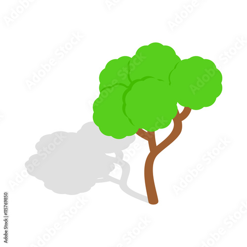 Tree icon in isometric 3d style isolated vector illustration