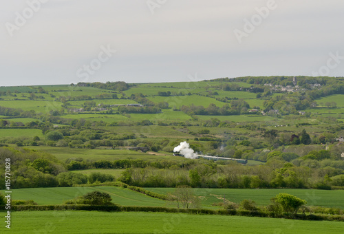 Steam train in Dorset countryside near Swanage