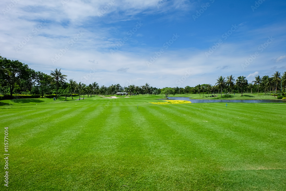 Land Scape Wide green lawns and a blue sky, golf courses.