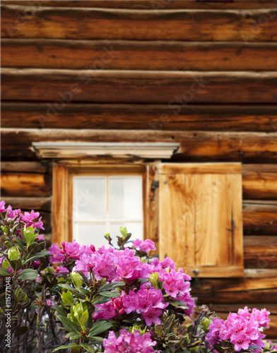Blumenfenster auf der Alm