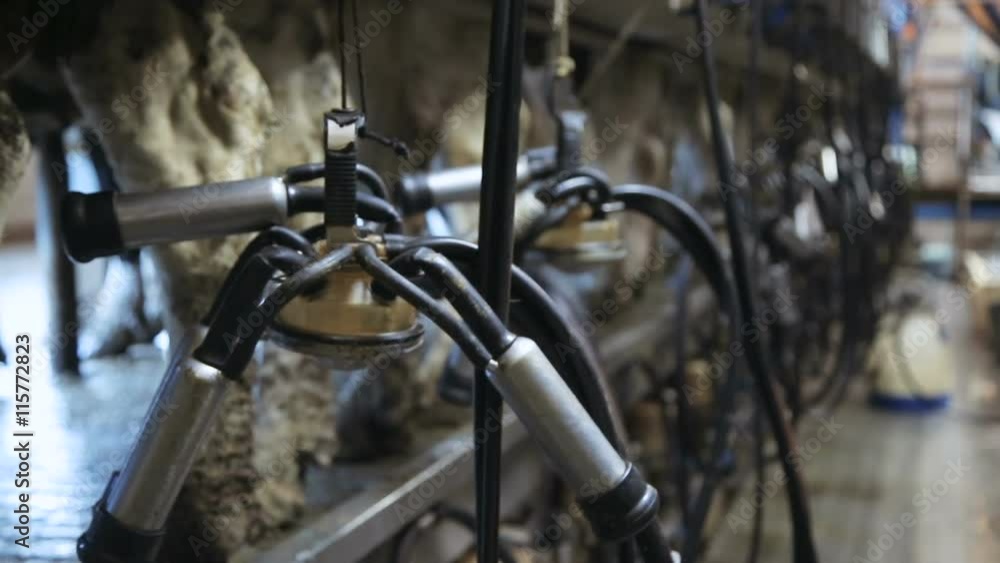 Milking unit for professional use Milking unit for professional use