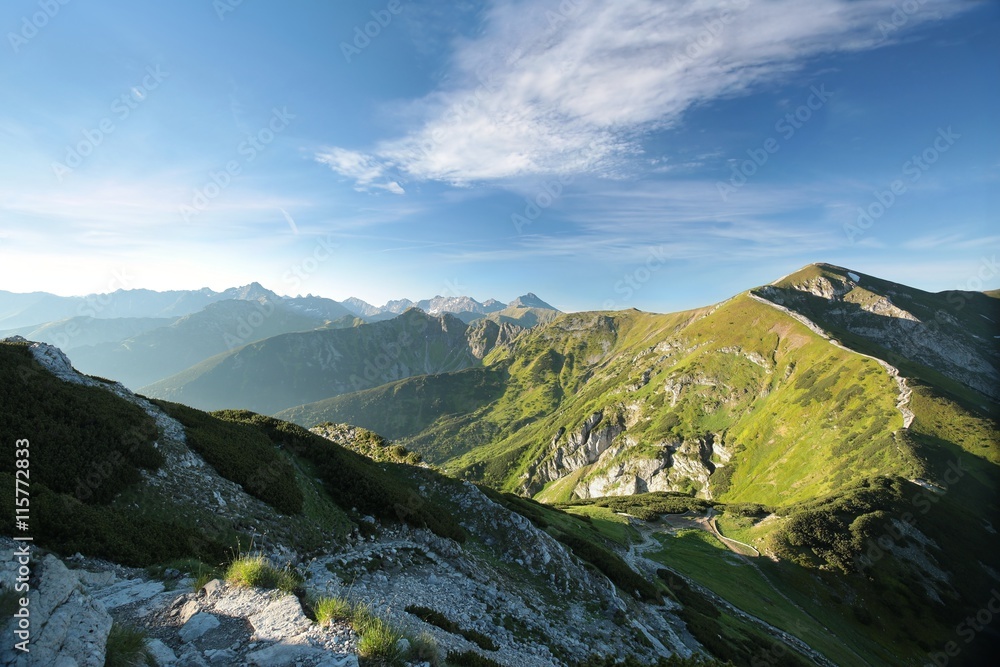 Obraz premium Panorama of Carpathian Mountains on a sunny spring morning, Poland