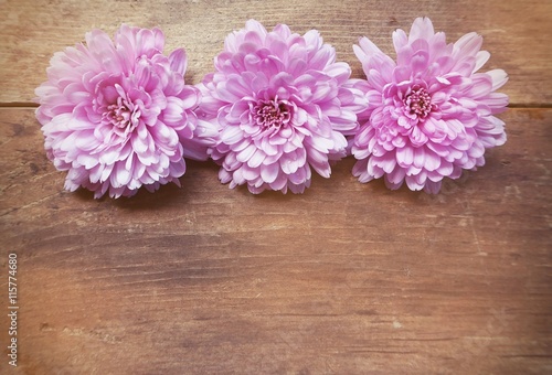 pink flowers on wooden background      © nipol