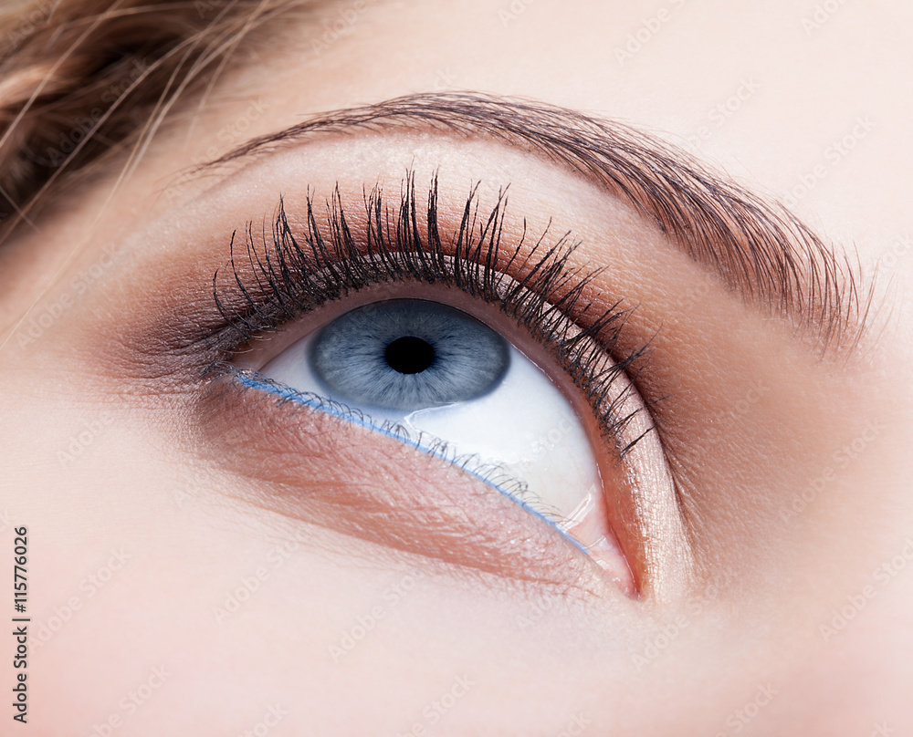 Fototapeta premium Closeup shot of female eye with day makeup