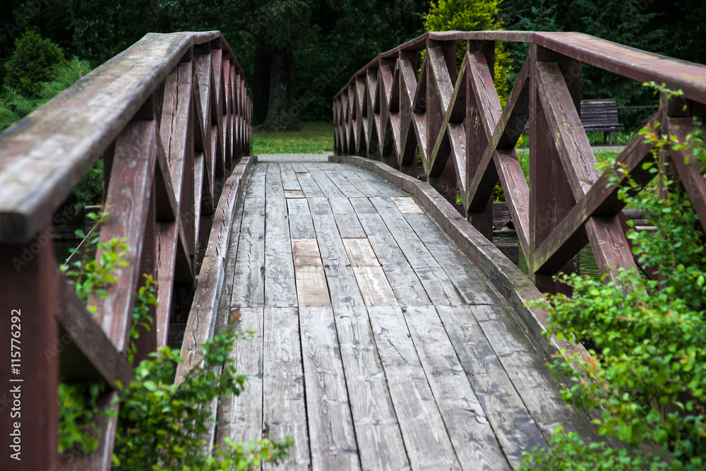Fototapeta premium old wooden bridge in the summer park