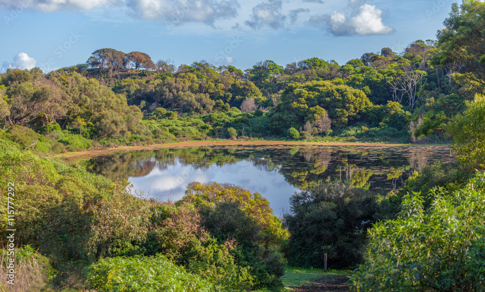 Tower Hill Reserve volcano crater lake in lush vegetation. Victoria, Australia.