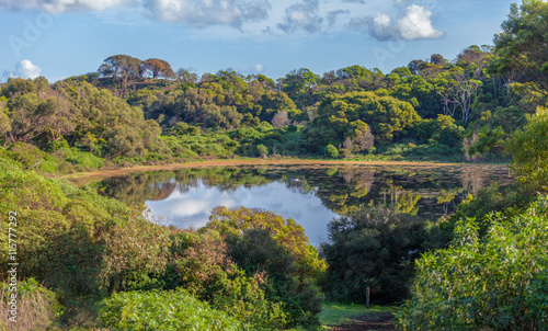 Tower Hill Reserve volcano crater lake in lush vegetation. Victoria, Australia.