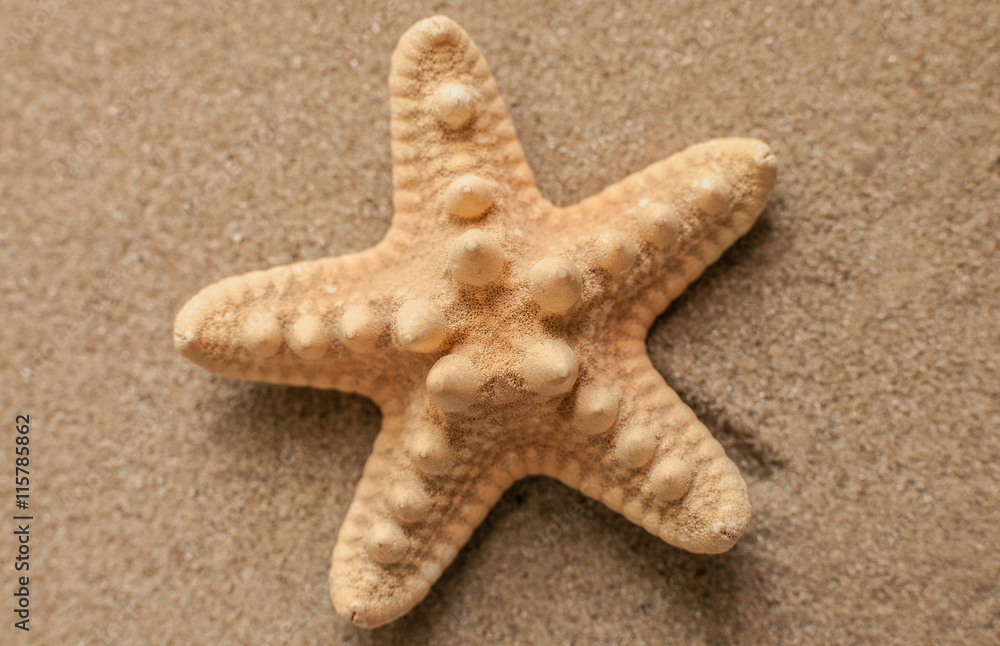 Summer. Summer background. Summer accessories, Summer concept . Starfish with sand as background. Sand texture Summer. Summer background. Summer accessories, Summer concept . Starfish with sand as background. Sand texture