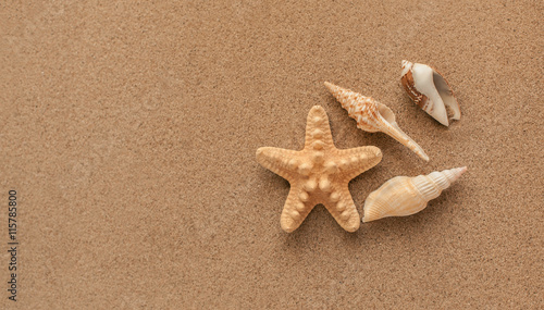 Summer. Summer background. Summer accessories, Summer concept . Starfish with sand as background. Sand texture