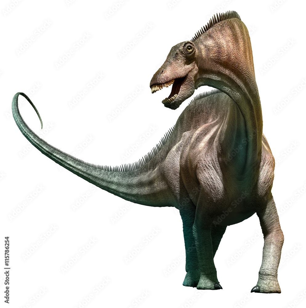 Naklejka premium Amargasaurus