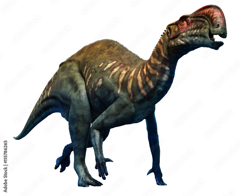 Naklejka premium Altirhinus from the Cretaceous era 3D illustration